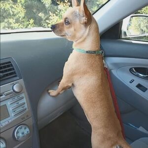 Unlisted Merchandise